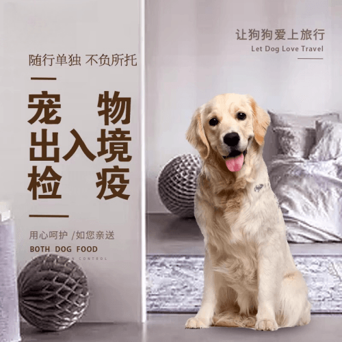 湖州市宠物托运到哥伦比亚猫狗宠物入境规定和