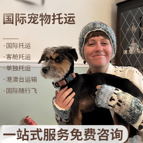 湖州市国际宠物托运到阿根廷宠物入境规定和要