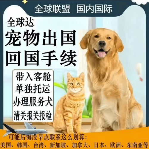 湖州市宠物托运到柬埔寨宠物入境规定和要求