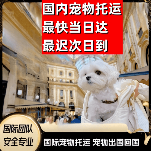 湖州市到澳大利亚（澳洲）宠物入境规定和要求